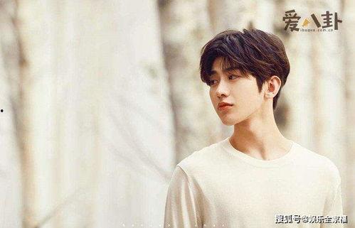 蔡徐坤新歌吃瓜视频下载,揭秘热门歌曲背后的故事