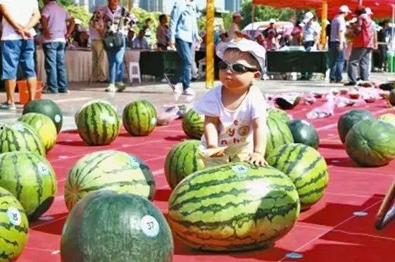 龙泉吃瓜事件视频播放下载,视频播放下载背后的热议与真相