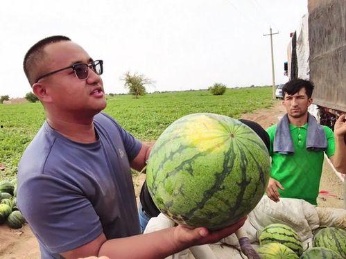 黎川吃瓜新闻视频