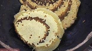 虫哥吃瓜视频大全,揭秘娱乐圈幕后故事
