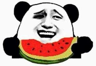 吃瓜群众糟心视频图片,揭秘网络暴力下的真实写照