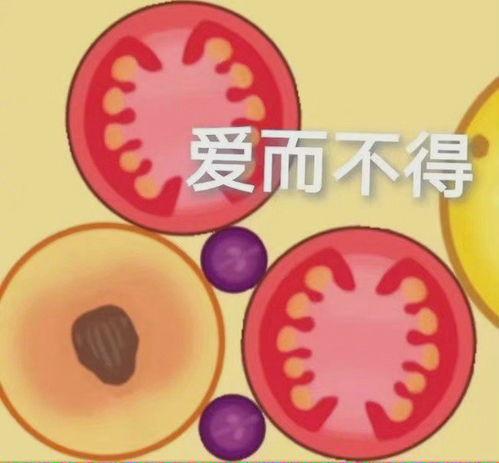 吃瓜群众合成大西瓜视频
